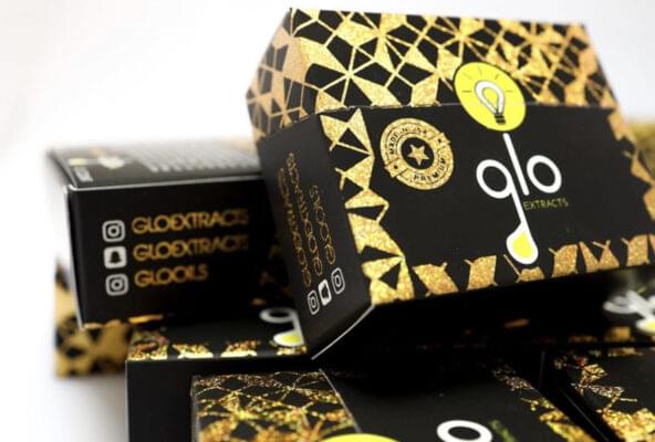 Glo Extract Master Box